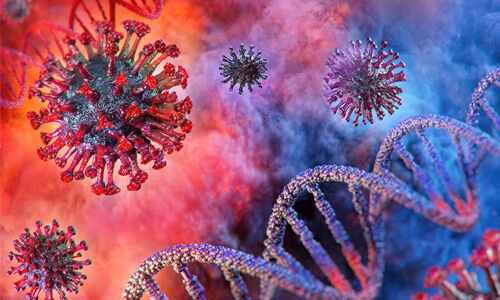 ഇടുക്കി ജില്ലയില് കൊവിഡ് മുക്തരായത് 58 പേര് ഇടുക്കി ജില്ലയില് കൊവിഡ് മുക്തരായത് 58 പേര്