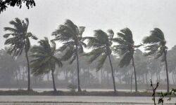 വയനാട്, ഇടുക്കി ജില്ലകളില് റെഡ് അലേര്ട്ട്, വിവിധ ജില്ലകളില് ഓറഞ്ച് അലേര്ട്ട് വയനാട്, ഇടുക്കി ജില്ലകളില് റെഡ് അലേര്ട്ട്, വിവിധ ജില്ലകളില് ഓറഞ്ച് അലേര്ട്ട്