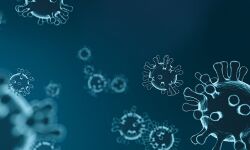 തൃശൂരില്‍ പുതുതായി 8 കണ്ടെയിന്‍മെന്റ് സോണുകള്‍; 15 വാര്‍ഡുകളിലെ നിയന്ത്രണം ഒഴിവാക്കി