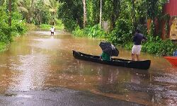 മലയോരത്ത് കനത്ത മഴ, നദികളില്‍ ജലനിരപ്പ് ഉയരുന്നു; കൃഷിയിടങ്ങള്‍ വെള്ളത്തിനടിയില്‍
