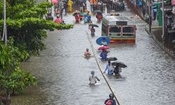 เดฎเตเดเดฌเตเดฏเดฟเดฒเตโ 46 เดตเดฐเตโเดทเดคเตเดคเดฟเดจเดฟเดเดฏเดฟเดฒเตโ เดเดฑเตเดฑเดตเตเด เดถเดเตเดคเดฎเดพเดฏ เดตเดฐเตโเดทเดชเดพเดคเด เดฎเตเดเดฌเตเดฏเดฟเดฒเตโ 46 เดตเดฐเตโเดทเดคเตเดคเดฟเดจเดฟเดเดฏเดฟเดฒเตโ เดเดฑเตเดฑเดตเตเด เดถเดเตเดคเดฎเดพเดฏ เดตเดฐเตโเดทเดชเดพเดคเด