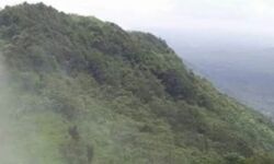 ഓടക്കയത്ത് ആദിവാസികളെ സുരക്ഷിത ഇടങ്ങളിലേക്ക് മാറ്റി