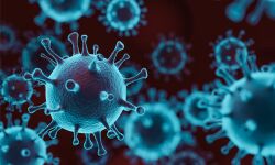 കൊവിഡ്: ആലപ്പുഴ വലിയ മാര്‍ക്കറ്റ് അടച്ചു;മല്‍സ്യബന്ധനവും വിപണനവും നിരോധനം 12 വരെ നീട്ടി