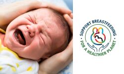 കൊവിഡ് കാലവും മുലയൂട്ടലും: സംശയങ്ങള്ക്കുള്ള മറുപടി കൊവിഡ് കാലവും മുലയൂട്ടലും: സംശയങ്ങള്ക്കുള്ള മറുപടി