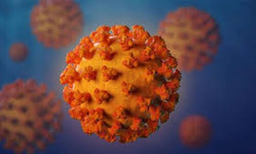 മലപ്പുറം ജില്ലയില്‍ 129 പേര്‍ക്ക് കൊവിഡ് സ്ഥിരീകരിച്ചു;114 പേര്‍ക്ക് രോഗമുക്തി