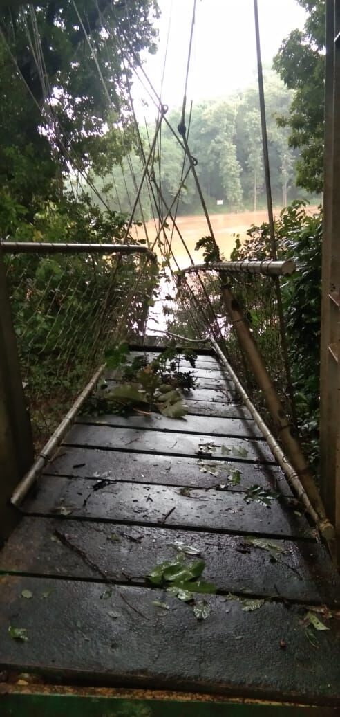 നിലമ്പൂര് കനോലി പ്ലോട്ടിലേക്കുള്ള തൂക്കുപാലം തകര്ന്നു നിലമ്പൂര് കനോലി പ്ലോട്ടിലേക്കുള്ള തൂക്കുപാലം തകര്ന്നു