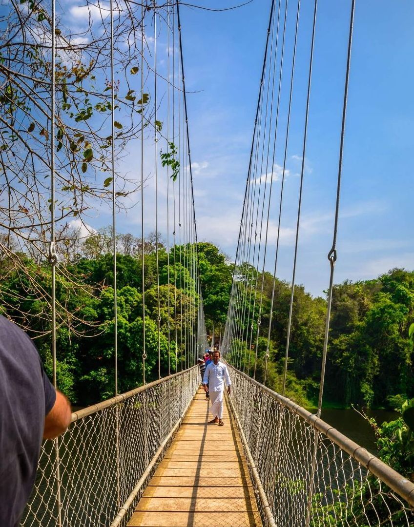 തൂക്കുപാലത്തിലൂടെ കനോലി പ്ലോട്ടിലേക്കു പോകുന്ന വിനോദ സഞ്ചാരികള് (ഫയല് ഫോട്ടോ)