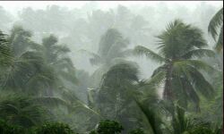 കൂട്ടിക്കല്‍ മേഖലയില്‍ 14 കുടുംബങ്ങളെ മാറ്റിപ്പാര്‍പ്പിച്ചു