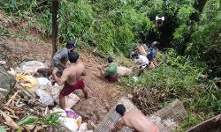 കോഴിവണ്ടി അപകടത്തില്‍പെട്ടു; ആളപായമില്ല