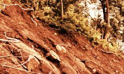 വയനാട് മേപ്പാടി മുണ്ടകൈ മലയില്‍ ഉരുള്‍പൊട്ടല്‍