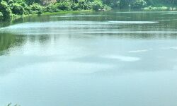 മേപ്പാടി മുണ്ടകൈയില്‍ ഉരുള്‍പൊട്ടല്‍; ചാലിയാറില്‍ വെള്ളം പൊങ്ങാന്‍ സാധ്യത