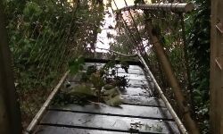 നിലമ്പൂര്‍ കനോലി പ്ലോട്ടിലേക്കുള്ള തൂക്കുപാലം തകര്‍ന്നു