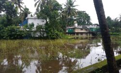 തൃശൂരില്‍ താഴ്ന്ന പ്രദേശങ്ങള്‍ വെള്ളത്തിനടിയില്‍