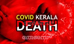 കേരളത്തില്‍ ഒരു കൊവിഡ് മരണം കൂടി; മരിച്ചത് മലപ്പുറം പള്ളിക്കല്‍ സ്വദേശിനി