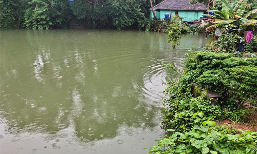 മാള താണിക്കാട് പാറക്കുളം ജലാശയം കരകവിഞ്ഞു മാള താണിക്കാട് പാറക്കുളം ജലാശയം കരകവിഞ്ഞു