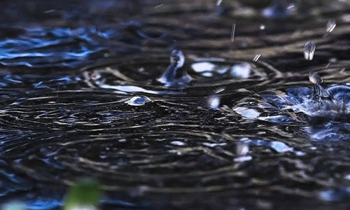 മഴക്കെടുതി: വെള്ളാങ്കല്ലൂര് പഞ്ചായത്തില് ഒറ്റപ്പെട്ട ഇടങ്ങളില് ജാഗ്രതാ നിര്ദേശം മഴക്കെടുതി: വെള്ളാങ്കല്ലൂര് പഞ്ചായത്തില് ഒറ്റപ്പെട്ട ഇടങ്ങളില് ജാഗ്രതാ നിര്ദേശം