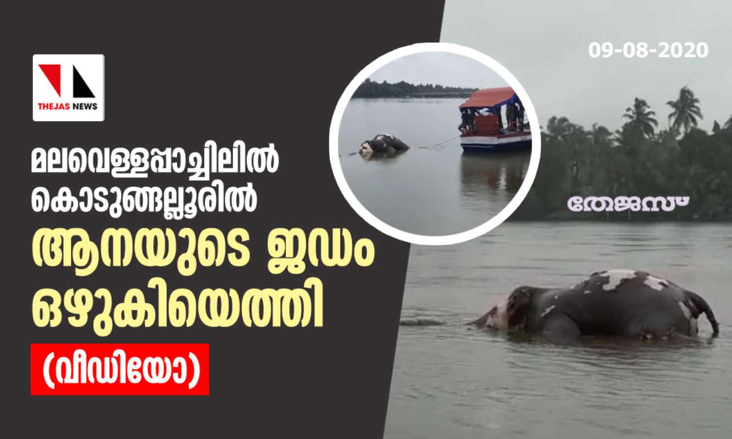 മലവെള്ളപ്പാച്ചിലില് കൊടുങ്ങല്ലൂരില് ആനയുടെ ജഡം ഒഴുകിയെത്തി (വീഡിയോ) മലവെള്ളപ്പാച്ചിലില് കൊടുങ്ങല്ലൂരില് ആനയുടെ ജഡം ഒഴുകിയെത്തി (വീഡിയോ)