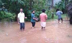 കനത്ത മഴയും വെള്ളപ്പൊക്കവും: അഴിയൂര്‍, വടകര, തിരുവള്ളൂര്‍ എന്നിവിടങ്ങളില്‍ 350 ഓളം കുടുംബങ്ങളെ മാറ്റിപ്പാര്‍പ്പിച്ചു