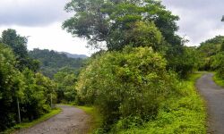 മലയോര ഹൈവേ പ്രവൃത്തി ഉദ്ഘാടനം ആഗസ്റ്റ് 11ന് ചൊവ്വാഴ്ച മലയോര ഹൈവേ പ്രവൃത്തി ഉദ്ഘാടനം ആഗസ്റ്റ് 11ന് ചൊവ്വാഴ്ച