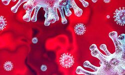 തിരുവനന്തപുരം ജില്ലയില്‍ 7 കണ്ടെയിന്‍മെന്റ് സോണുകള്‍