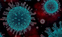 ഒരു ജീവനക്കാരനു കൂടി കൊവിഡ്;   പെരിന്തല്‍മണ്ണ ബിവറേജ് അടച്ചു