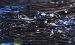 മഴക്കെടുതി: വെള്ളാങ്കല്ലൂര് പഞ്ചായത്തില് ഒറ്റപ്പെട്ട ഇടങ്ങളില് ജാഗ്രതാ നിര്ദേശം മഴക്കെടുതി: വെള്ളാങ്കല്ലൂര് പഞ്ചായത്തില് ഒറ്റപ്പെട്ട ഇടങ്ങളില് ജാഗ്രതാ നിര്ദേശം