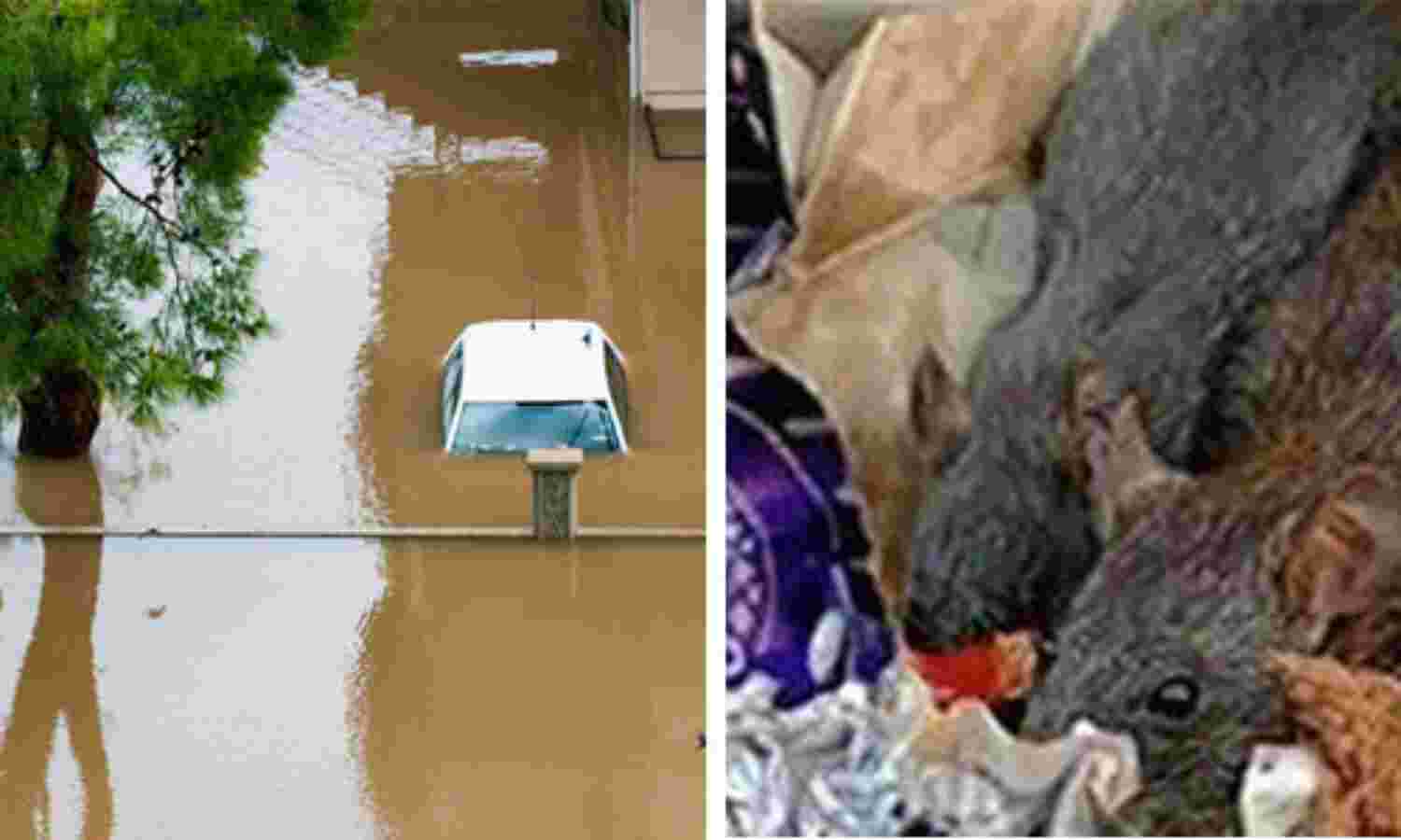വയനാട്ടില് 10 ദിവസത്തിനിടെ 13 പേര്ക്ക് എലിപ്പനി; ലക്ഷണങ്ങളോടെ 28 പേര്; ഏഴുമാസത്തിനിടെ ആറു മരണം വയനാട്ടില് 10 ദിവസത്തിനിടെ 13 പേര്ക്ക് എലിപ്പനി; ലക്ഷണങ്ങളോടെ 28 പേര്; ഏഴുമാസത്തിനിടെ ആറു മരണം