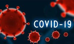 കൊവിഡ് വ്യാപനം: കോഴിക്കോട് വലിയങ്ങാടിയും വെള്ളയിലും ക്ലസ്റ്ററായി