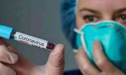 മലപ്പുറം ജില്ലയില് 255 പേര്ക്ക് കൂടി കൊവിഡ് മലപ്പുറം ജില്ലയില് 255 പേര്ക്ക് കൂടി കൊവിഡ്