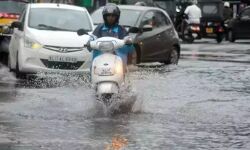 സംസ്ഥാനത്ത് മഴക്ക് നേരിയ ശമനം; നാല് ജില്ലകളില്‍ യെല്ലോ അലര്‍ട്ട്