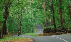 മലയോര ഹൈവേ കോടഞ്ചേരി-കക്കാടംപൊയില് റീച്ച് പ്രവൃത്തി ഉദ്ഘാടനം ചെയ്തു മലയോര ഹൈവേ കോടഞ്ചേരി-കക്കാടംപൊയില് റീച്ച് പ്രവൃത്തി ഉദ്ഘാടനം ചെയ്തു