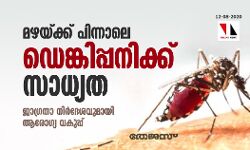 മഴയ്ക്ക് പിന്നാലെ ഡെങ്കിപ്പനിക്ക് സാധ്യത; ജാഗ്രതാ നിർദേശവുമായി ആരോഗ്യവകുപ്പ്