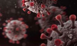 ആലപ്പുഴ ജില്ലയില്‍ ഇന്ന് 126 പേര്‍ക്ക് കൊവിഡ്; 117 പേര്‍ക്ക് രോഗം സമ്പര്‍ക്കത്തിലൂടെ