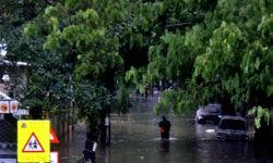 വയനാട്ടില്‍ ഗ്രീന്‍ അലര്‍ട്ട്; തിരുനെല്ലി, വൈത്തിരി പഞ്ചായത്തിലെ നിയന്ത്രണങ്ങള്‍ പിന്‍വലിച്ചു