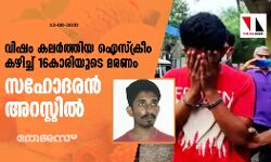 വിഷം കലര്‍ത്തിയ ഐസ്‌ക്രീം കഴിച്ച് 16കാരിയുടെ മരണം: സഹോദരന്‍ അറസ്റ്റില്‍
