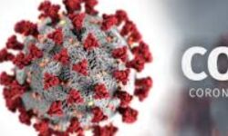 തൃശൂര്‍ ജില്ലയില്‍ 80 പേര്‍ക്ക് കൂടി കൊവിഡ്; 53 പേര്‍ക്ക് രോഗമുക്തി