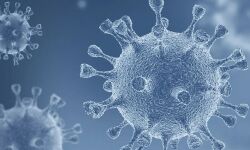 കൊവിഡ്:ഓണക്കാലത്ത് എറണാകുളത്ത് കര്ശന നിയന്ത്രണങ്ങള്; ഓണസദ്യ വീടുകളില് മാത്രം കൊവിഡ്:ഓണക്കാലത്ത് എറണാകുളത്ത് കര്ശന നിയന്ത്രണങ്ങള്; ഓണസദ്യ വീടുകളില് മാത്രം