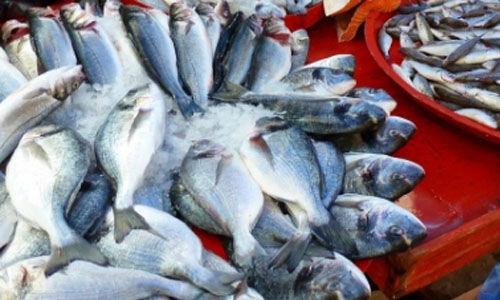 കൊവിഡ്: ആലപ്പുഴയിലെ പിബി ജംഗ്ഷന്‍, അഞ്ചാലും കാവ് കേന്ദ്രങ്ങളില്‍ മല്‍സ്യബന്ധനവും വിപണനവും നിരോധിച്ചു