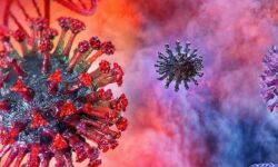 കണ്ണൂര്‍ ജില്ലയില്‍ 77 പേര്‍ക്ക് കൂടി കൊവിഡ്; 58 പേര്‍ക്ക് സമ്പര്‍ക്കത്തിലൂടെ രോഗബാധ