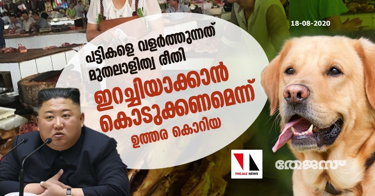 പട്ടികളെ വളര്ത്തുന്നത് മുതലാളിത്വ രീതി: ഇറച്ചിയാക്കാന് കൊടുക്കണമെന്ന് ഉത്തര കൊറിയ പട്ടികളെ വളര്ത്തുന്നത് മുതലാളിത്വ രീതി: ഇറച്ചിയാക്കാന് കൊടുക്കണമെന്ന് ഉത്തര കൊറിയ