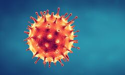 കൊവിഡ്; കൊച്ചി കോര്‍പറേഷന്‍ കൗണ്‍സിലര്‍ക്ക് കൊവിഡ്;മേയര്‍ അടക്കമുളളവര്‍ ക്വാറന്റൈനില്‍