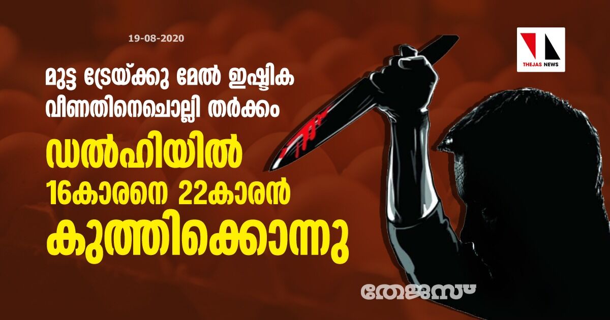 മുട്ട ട്രേയ്ക്കു മേല്‍ ഇഷ്ടിക വീണതിനെചൊല്ലി തര്‍ക്കം; ഡല്‍ഹിയില്‍ 16കാരനെ 22കാരന്‍ കുത്തിക്കൊന്നു