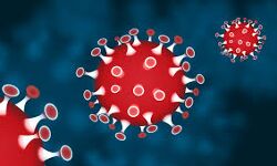 മലപ്പുറം ജില്ലയില്‍ 322 പേര്‍ക്ക് കൂടി കൊവിഡ്; 263 പേര്‍ രോഗവിമുക്തരായി