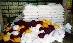 പട്ടികവര്ഗ കുടുംബങ്ങള്ക്ക് ഓണക്കിറ്റും 60 വയസ് കഴിഞ്ഞവർക്ക് ഓണക്കോടിയും പട്ടികവര്ഗ കുടുംബങ്ങള്ക്ക് ഓണക്കിറ്റും 60 വയസ് കഴിഞ്ഞവർക്ക് ഓണക്കോടിയും