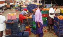 കൊവിഡ്: ഓണക്കാലത്ത് ഇടുക്കിയില് കൂടുതല് നിയന്ത്രണങ്ങള് കൊവിഡ്: ഓണക്കാലത്ത് ഇടുക്കിയില് കൂടുതല് നിയന്ത്രണങ്ങള്