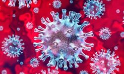 മലപ്പുറം ജില്ലയില്‍ 395 പേര്‍ക്ക് കൂടി കൊവിഡ് 19 സ്ഥിരീകരിച്ചു