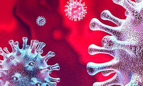 തുറയൂരിലും പയ്യോളിയിലുമായി 2 ആര്‍ആര്‍ടിമാരും ഒരു ആരോഗ്യ പ്രവര്‍ത്തകയും ഉള്‍പ്പെടെ 12 പേര്‍ക്ക് കൊവിഡ്