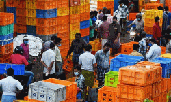 എറണാകുളം ചമ്പക്കര മാര്‍ക്കറ്റ് നാളെ തുറക്കും; കര്‍ശന നിയന്ത്രണങ്ങള്‍