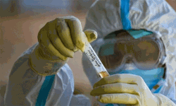 ഇടുക്കി ജില്ലയില്‍ ഇന്ന് 29 പേര്‍ക്ക് കൂടി കൊവിഡ്