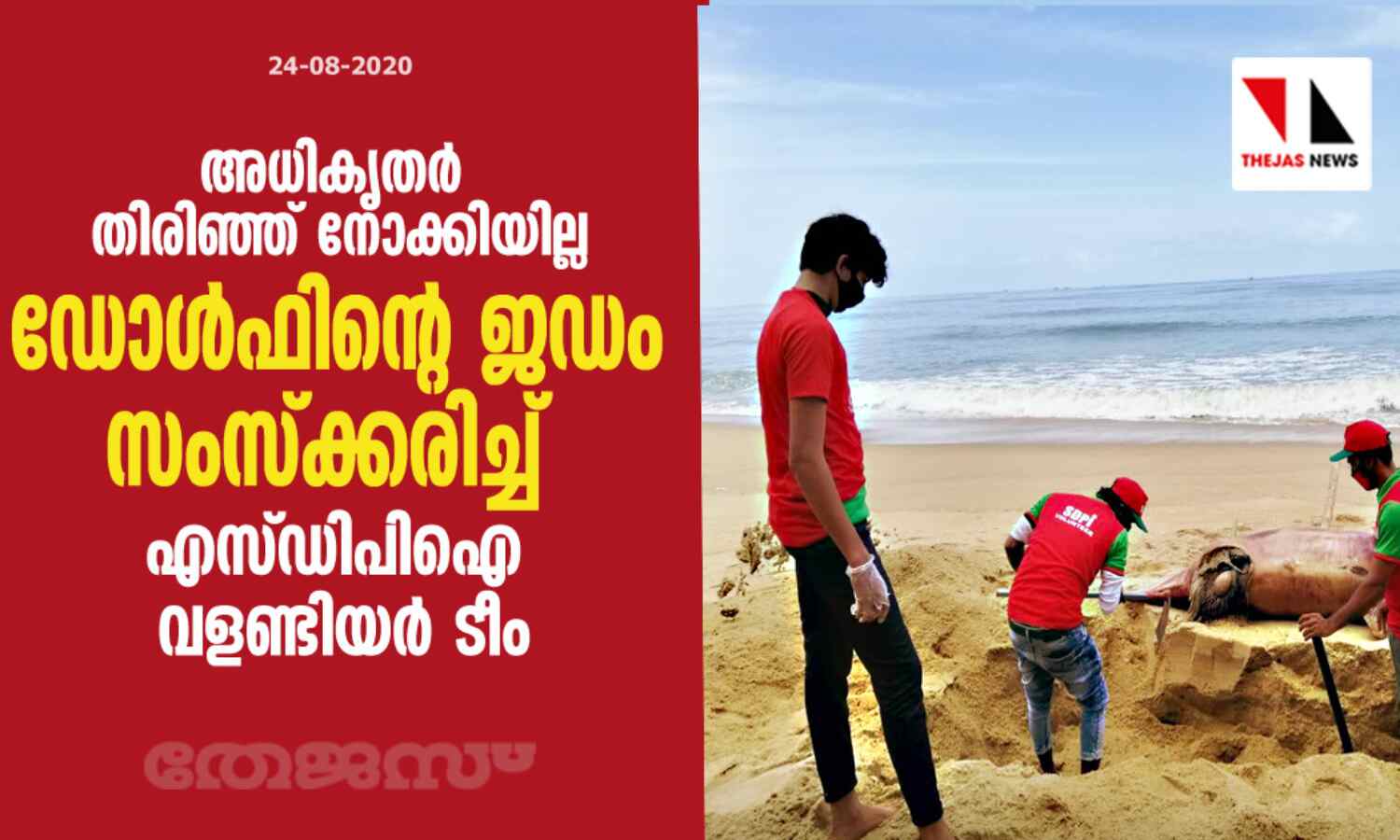 അധികൃതര് തിരിഞ്ഞ് നോക്കിയില്ല; ഡോള്ഫിന്റെ ജഡം സംസ്ക്കരിച്ച് എസ്ഡിപിഐ വളണ്ടിയര് ടീം അധികൃതര് തിരിഞ്ഞ് നോക്കിയില്ല; ഡോള്ഫിന്റെ ജഡം സംസ്ക്കരിച്ച് എസ്ഡിപിഐ വളണ്ടിയര് ടീം